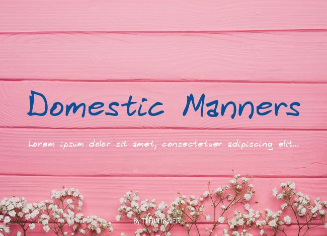Domestic Manners example